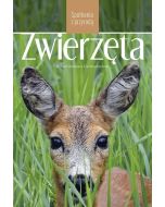 Zwierzęta. Spotkania z przyrodą
