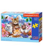 Puzzle 120 Kittens with Flowers CASTOR