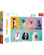 Puzzle 100 W świecie piesków TREFL