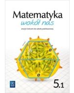 Matematyka Wokół nas SP 5/1 ćw. WSIP