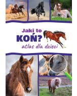 Atlas dla dzieci. Jaki to koń?