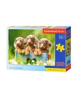 Puzzle 100 Słodkie jamniki CASTOR