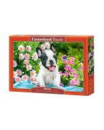 Puzzle 500 French Bulldog Puppy CASTOR