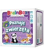 BrainBox - Poznaję zwierzęta REBEL