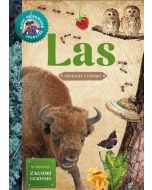 Młody Obserwator Przyrody - Las w.2022