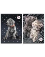 Zeszyt A5/60K linia The Sweet Pets (5szt)