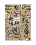 Brulion A4/80K kratka Water Wonders ASTRA