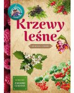 Młody obserwator przyrody.Krzewy leśne