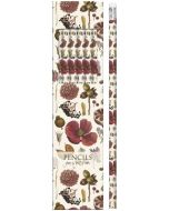 Ołówki ozdobne STPEN03 nasiona i kwiaty 6 sztuk