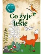 Co żyje w lesie Kolorowanka