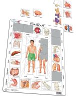 Układanka Nasze ciało Maxi
