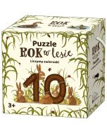 Rok w lesie. Liczymy zwierzaki