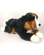 Pies berneński 61cm