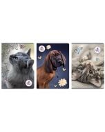 Zeszyt A4/60K kratka The Sweet Pets (5szt)