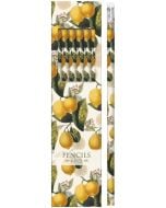 Ołówki ozdobne STPEN12 cytryny - zestaw 6 sztuk