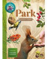 Młody obserwator przyrody - Park