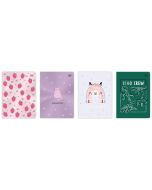 Zeszyt A5/16K trzylinia kolor Metallic (20szt)