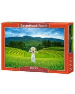 Puzzle 1000 Rice Fields in Vietnam CASTOR