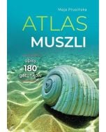 Atlas muszli. Opisy 180 gatunków