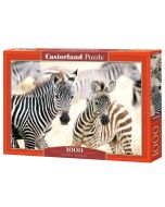 Puzzle 1000 Young Zebras CASTOR