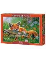 Puzzle 500 Foxy Dreams CASTOR