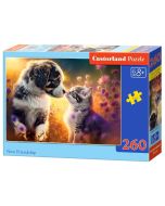 Puzzle 260 New Friendship CASTOR