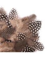 Piórka przepiórcze 5-12 cm 5g