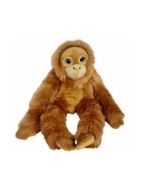 Orangutan big eyes 50cm