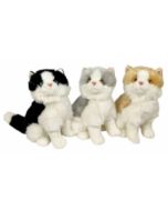 Koty 30cm MIX