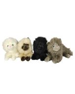 Kot pers siedzący 30cm MIX