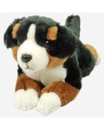 Pies berneński 40cm