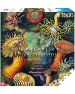 Puzzle 1000 Ernst Haeckel: Stworzenia morskie