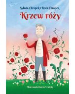 Krzew róży