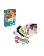 Piotruś i pamięć Koty ALEX