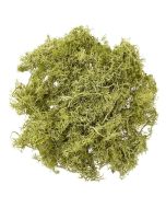 Mech jasnozielony 30g