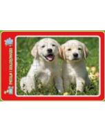 Puzzle w ramce z kolorowanką. Szczeniaczki