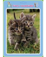 Puzzle w ramce z kolorowanką. Koty