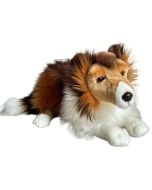 Owczarek szkocki 61cm