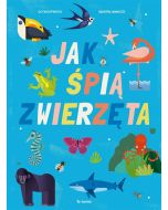 Jak śpią zwierzęta