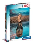 Puzzle 300 Super Self Reflection