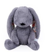 Królik Tulimy szary