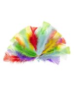 Piórka indycze 10-15cm pastelowe