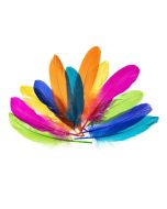 Piórka gęsie nenowy 15-20cm