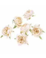 Główki kwiatowe kamelia ecru 5cm 6szt
