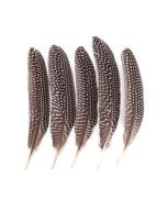 Pióra bażanta 18-20cm 5szt