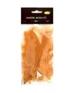 Piórka miękkie jasnobrązowe 15szt