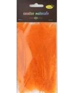 Piórka miękkie pomarańczowe 15szt