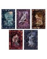 Zeszyt A5/60K kratka Fairytale (10szt) TOP2000