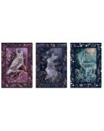 Zeszyt A4/60K kratka Fairytale (5szt) TOP2000