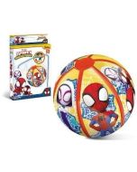 Piłka plażowa Spidey